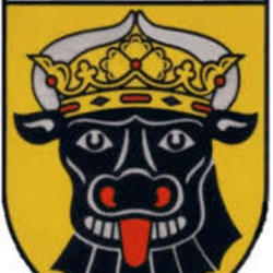 Rehnaer SV